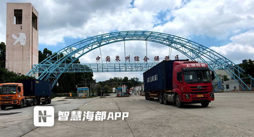 集拼出海，技術貿易雙驅動 前7個月泉州市保稅物流進出口突破百億大關